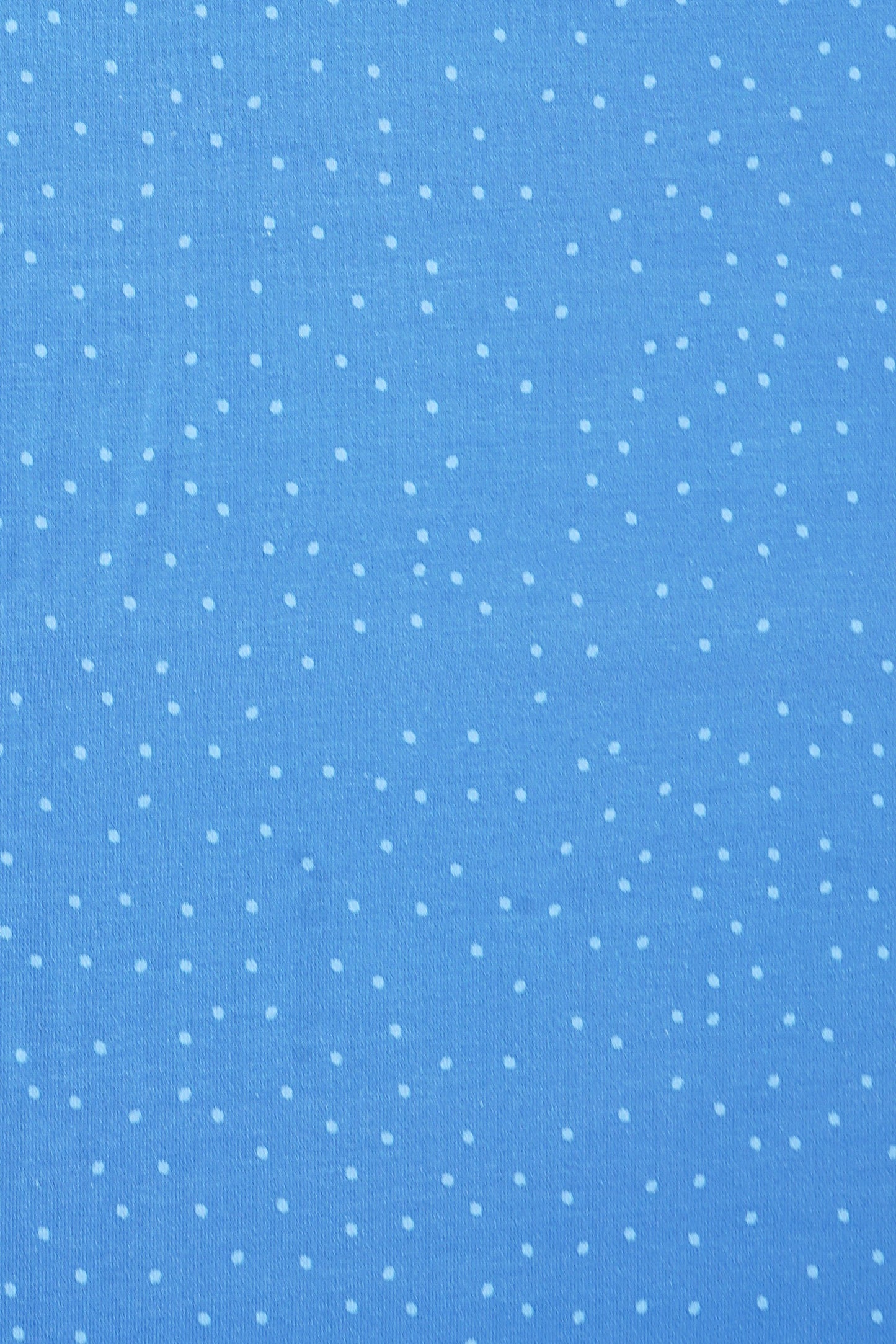 Jersey Staghorn Gartenmädchen blau "Kombistoff"