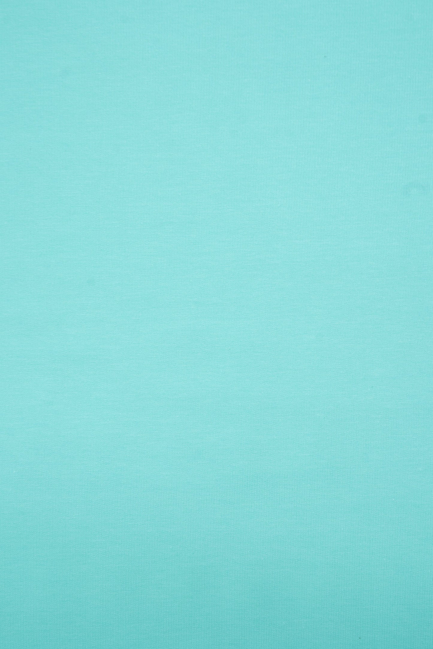 French Terry uni hellmint