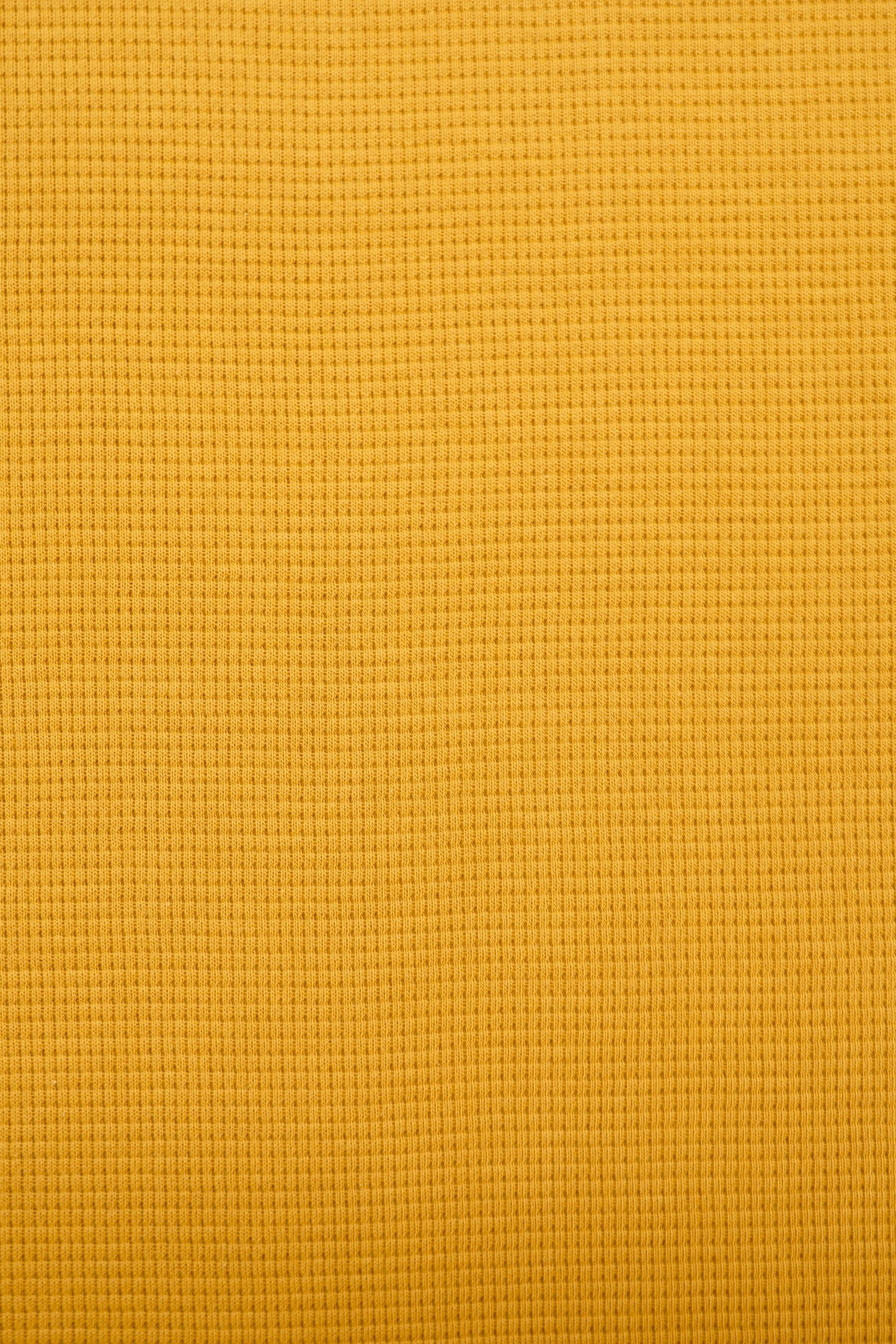 Waffeljersey uni goldgelb