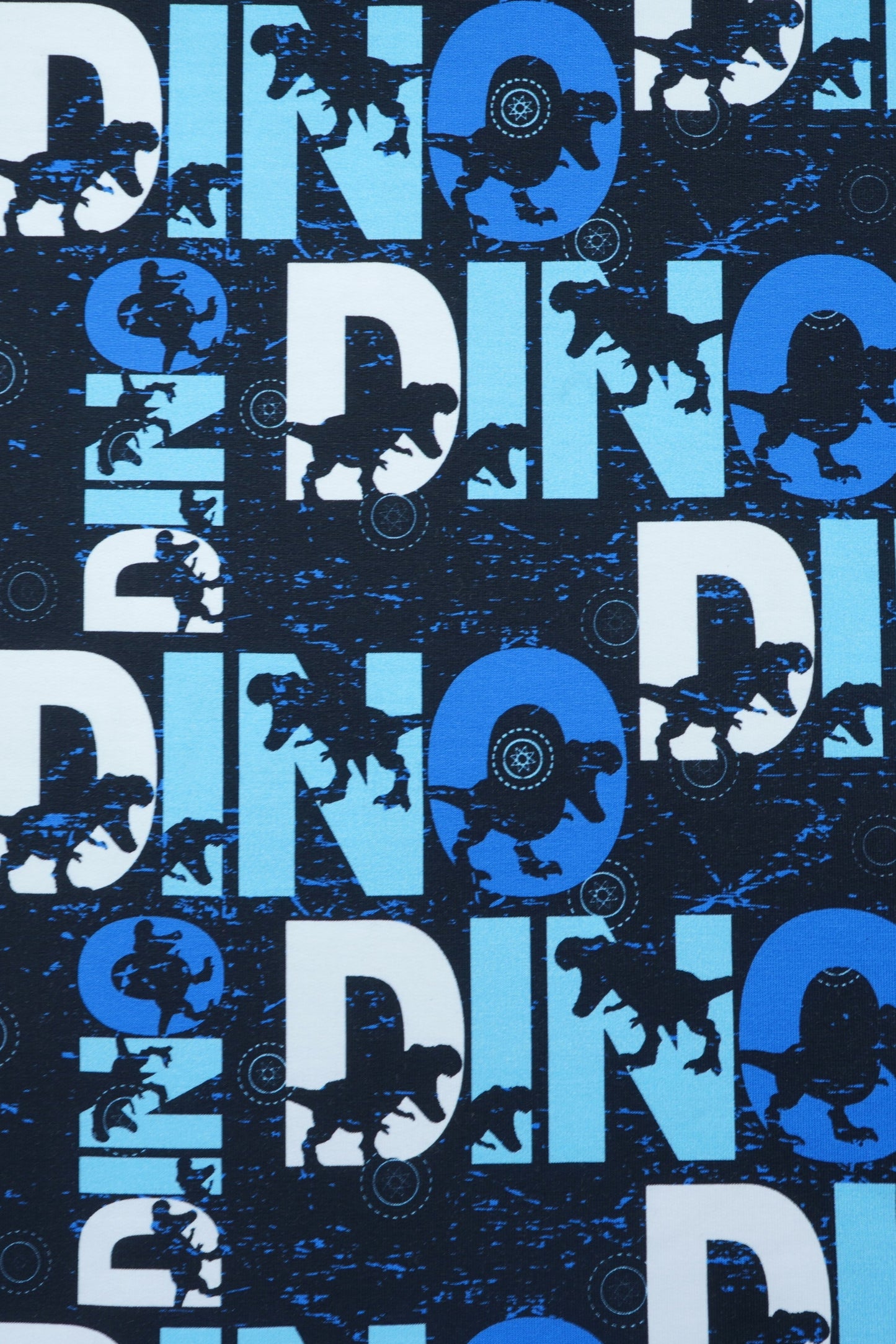 French Terry Staghorn Dino Schriftzug