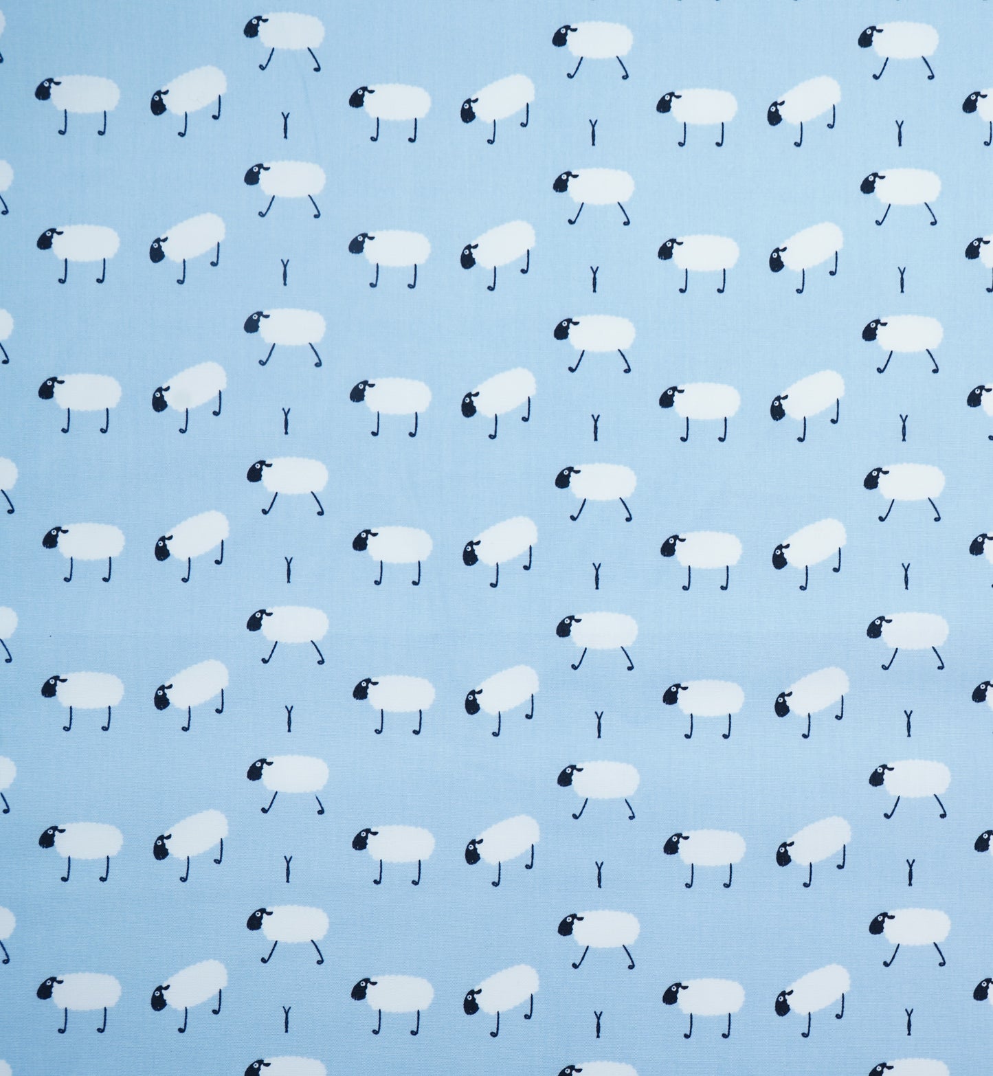 Baumwolle kleine Schafe in 2 versch. Farben