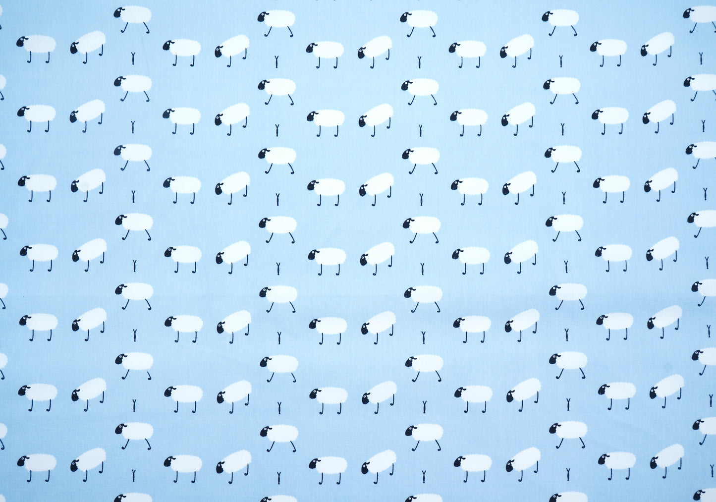 Baumwolle kleine Schafe in 2 versch. Farben