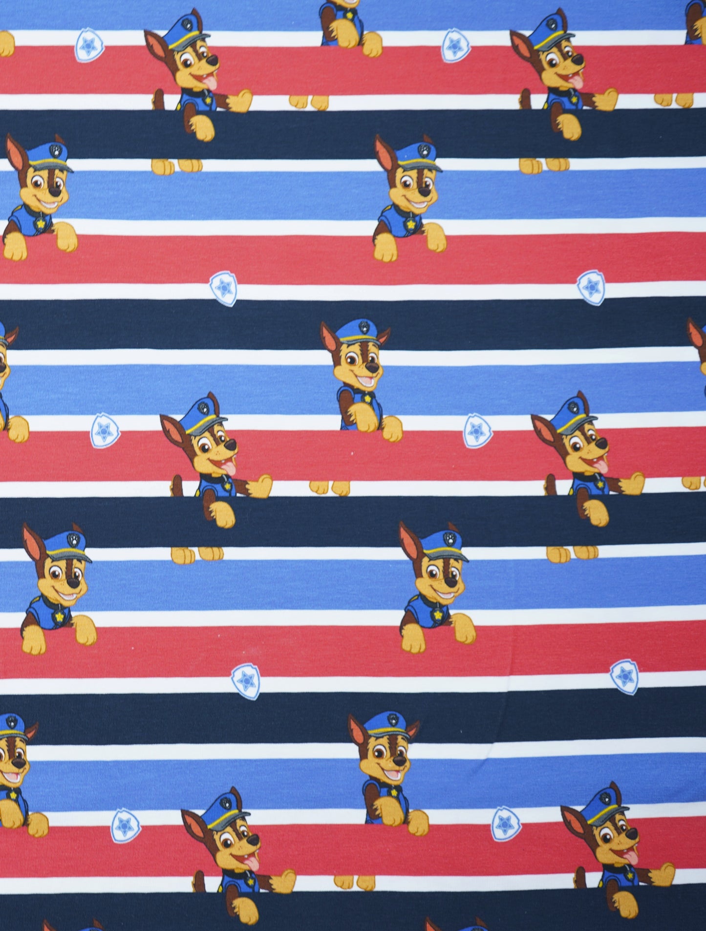 Jersey Paw Patrol Chase