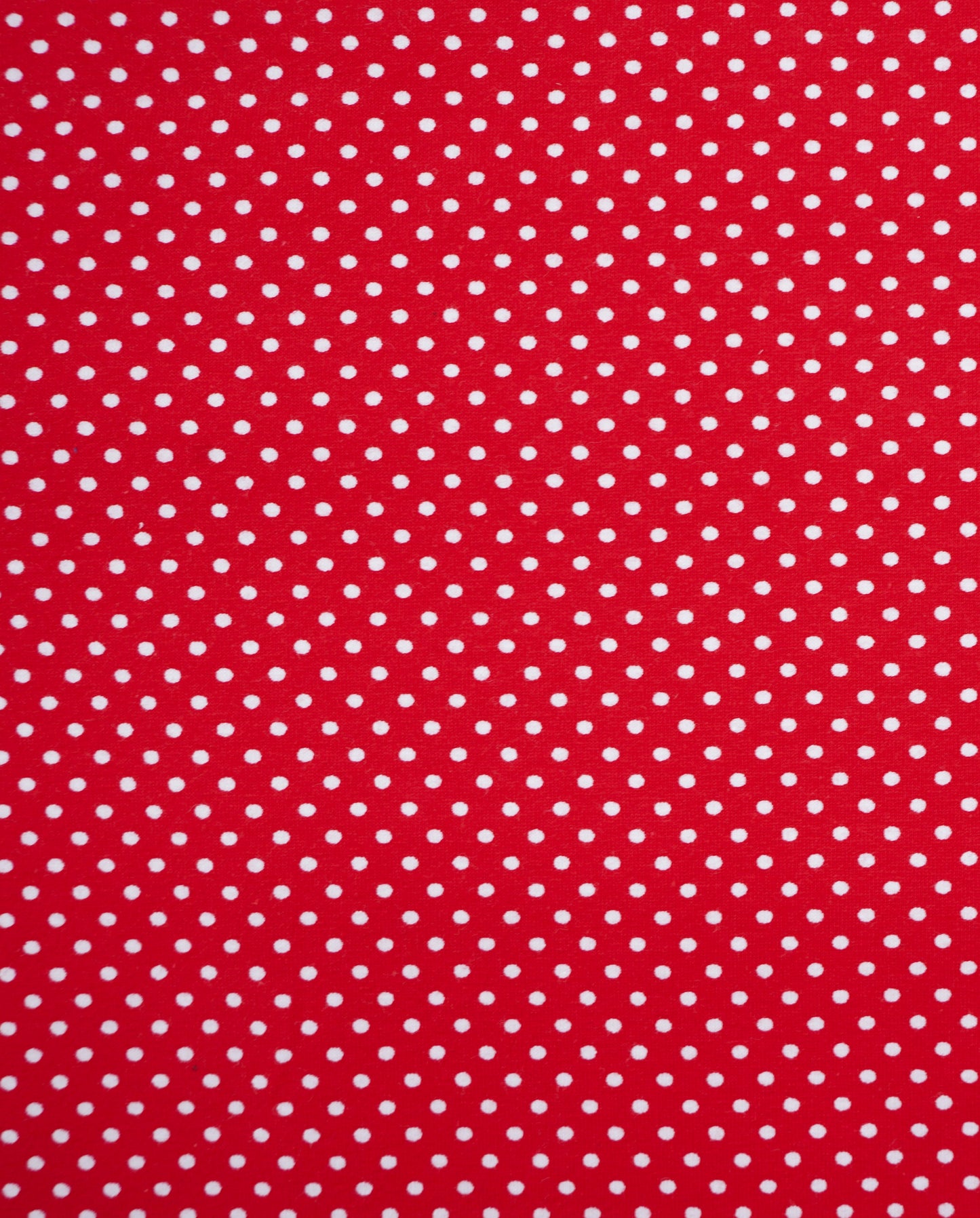 Jersey Punkte rot & blau