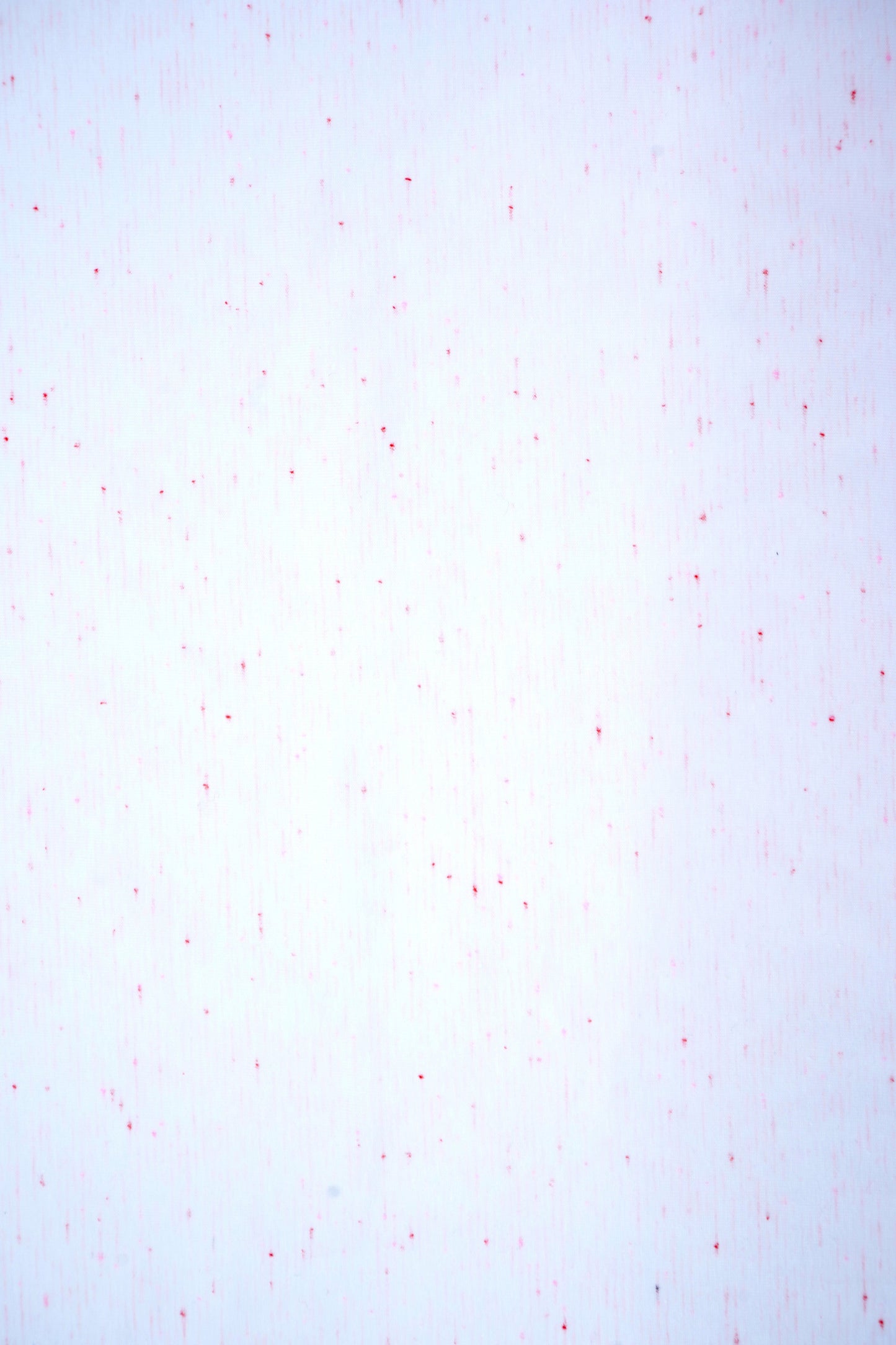 Jersey weiß Spränkel