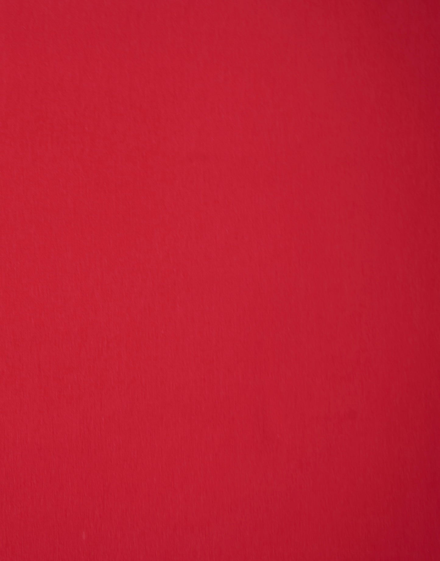 Jersey uni helles rot