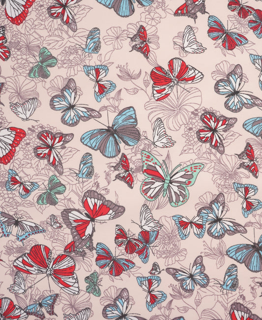Softshell Schmetterlinge
