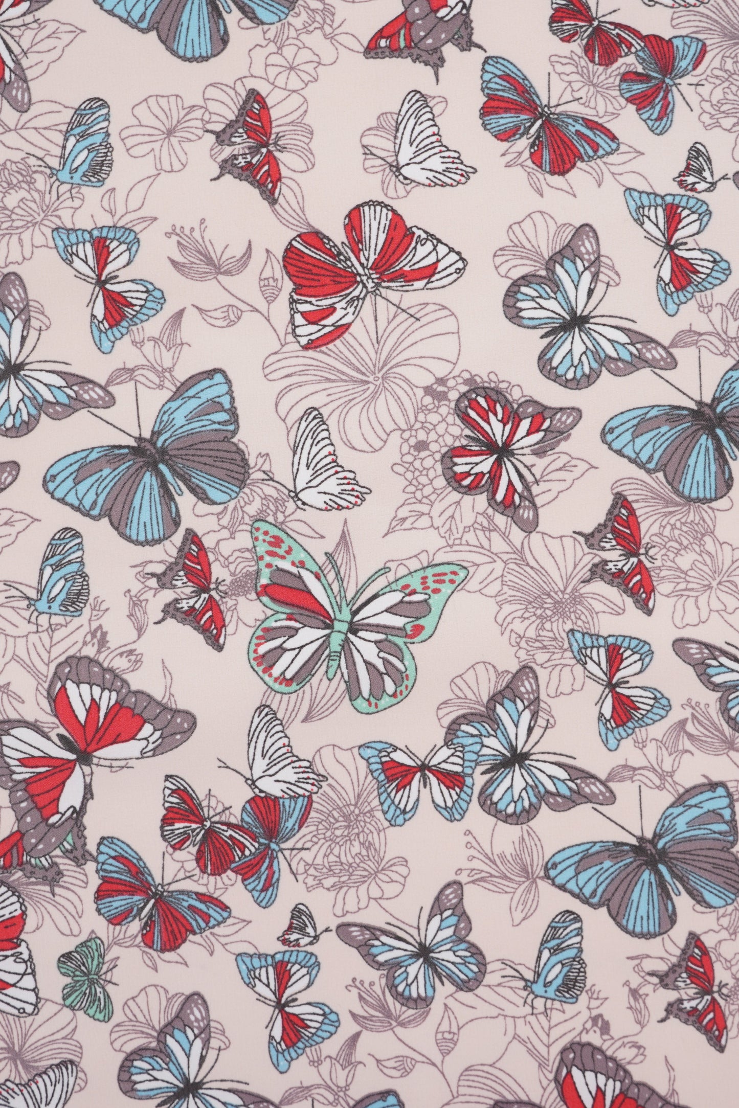 Softshell Schmetterlinge