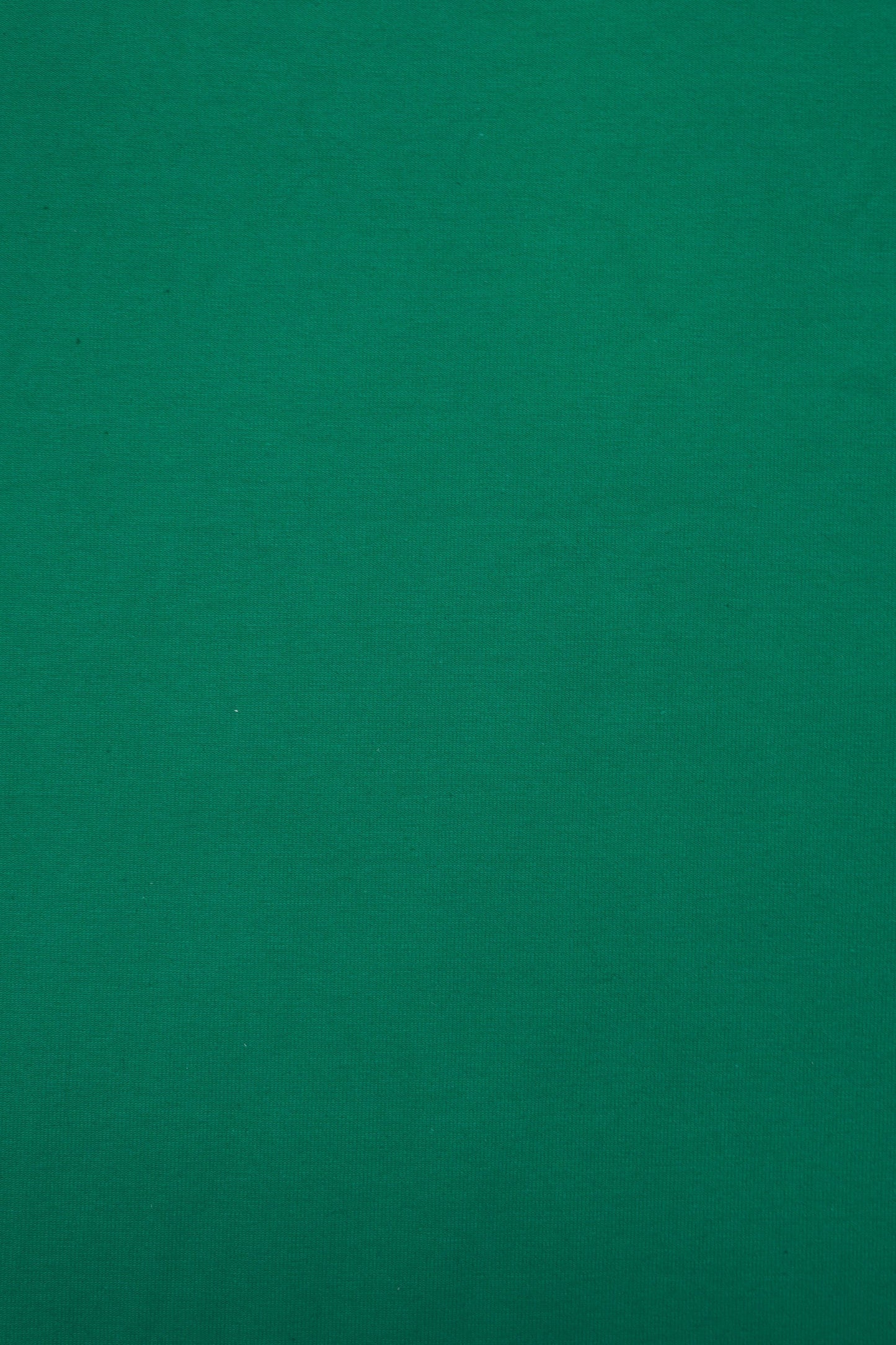 Jersey Uni Tannengrün