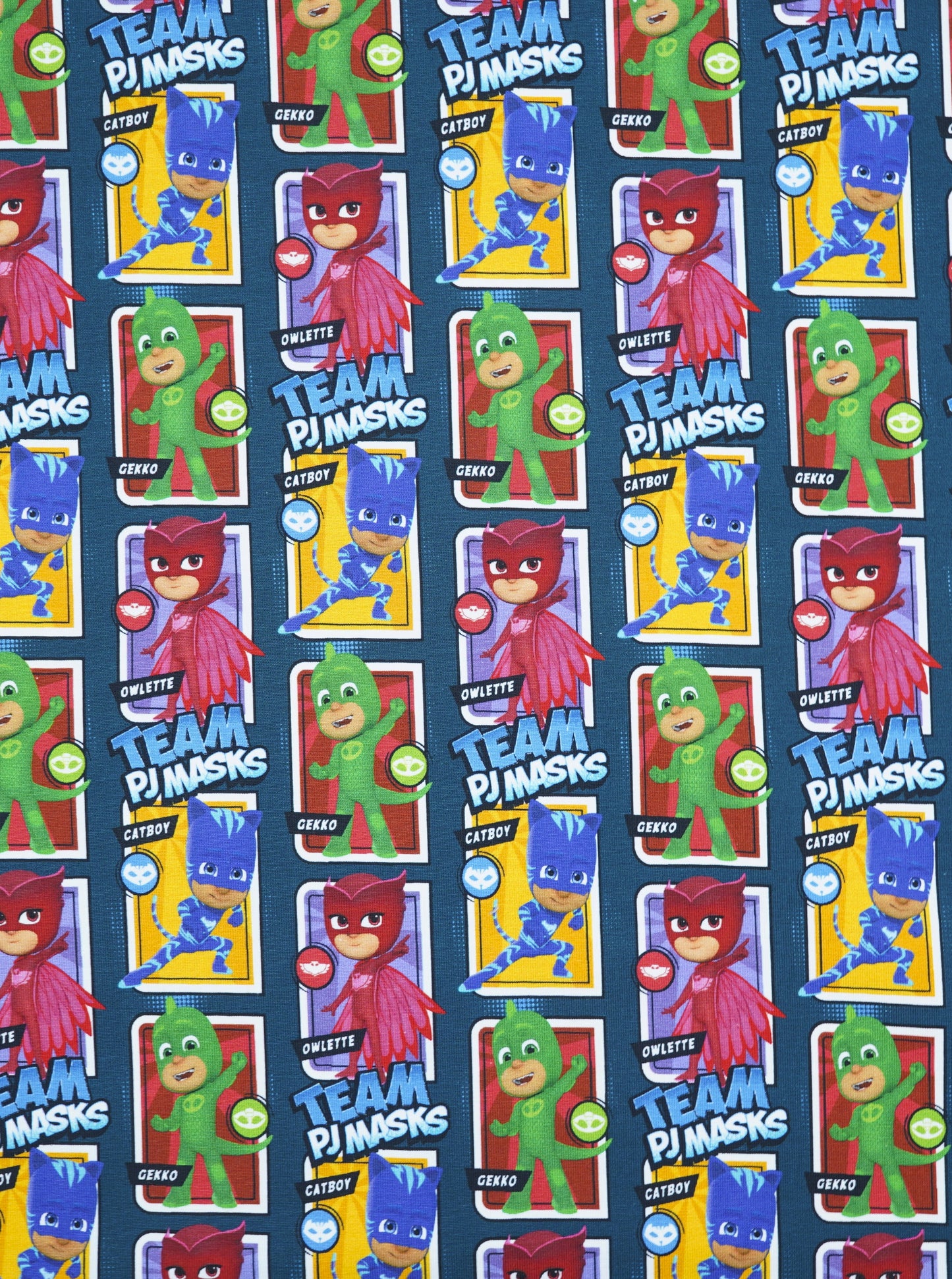 Jersey PJ Masks 2 versch.