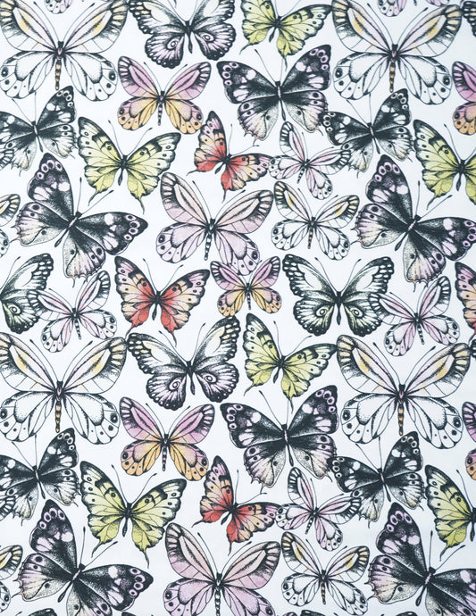 Jersey Schmetterlinge 3 versch.