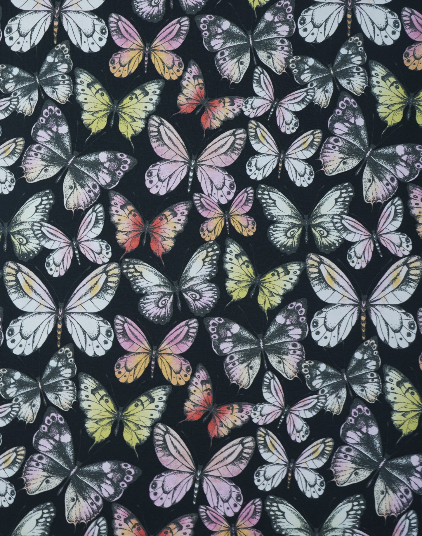 Jersey Schmetterlinge 3 versch.