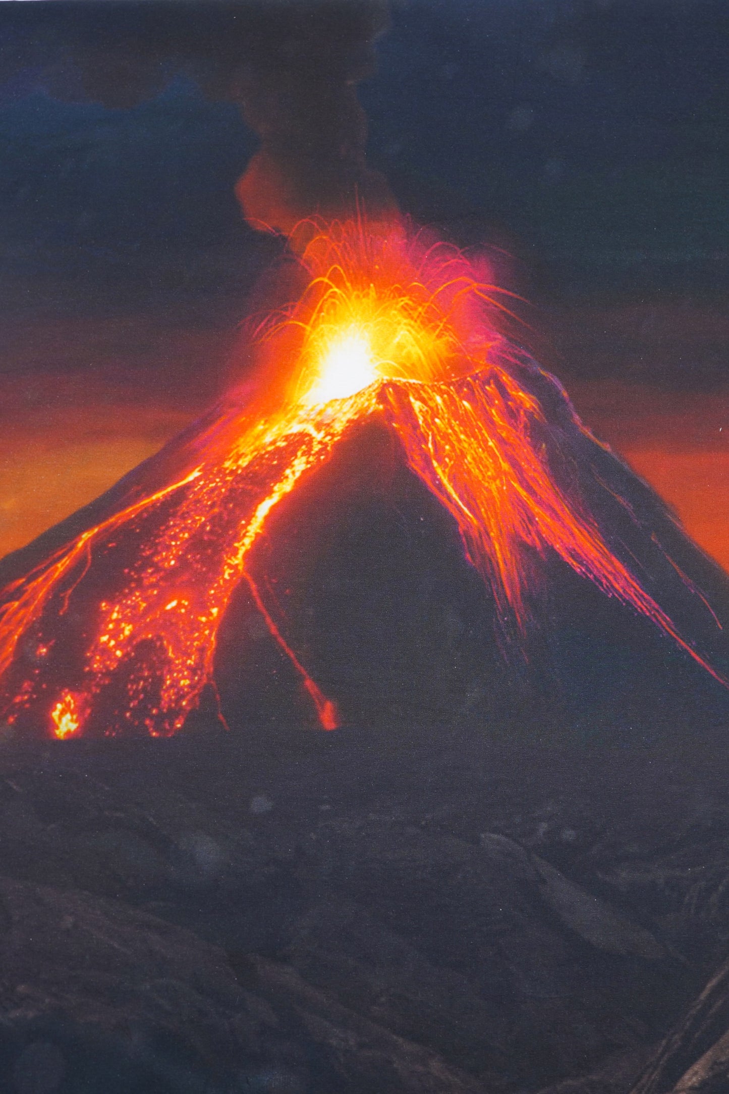 French Terry Panel Drache