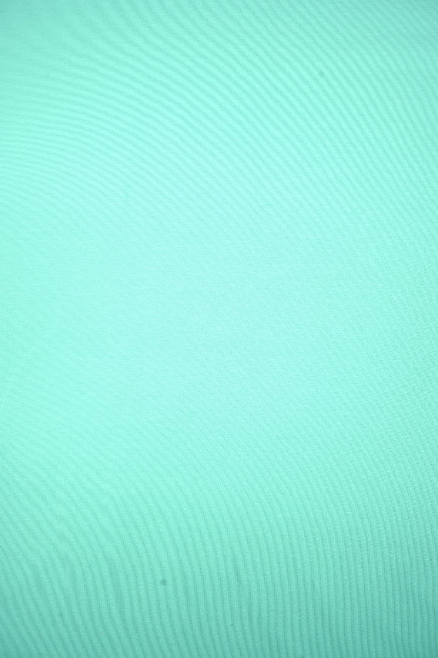 Jersey uni Mintgrün