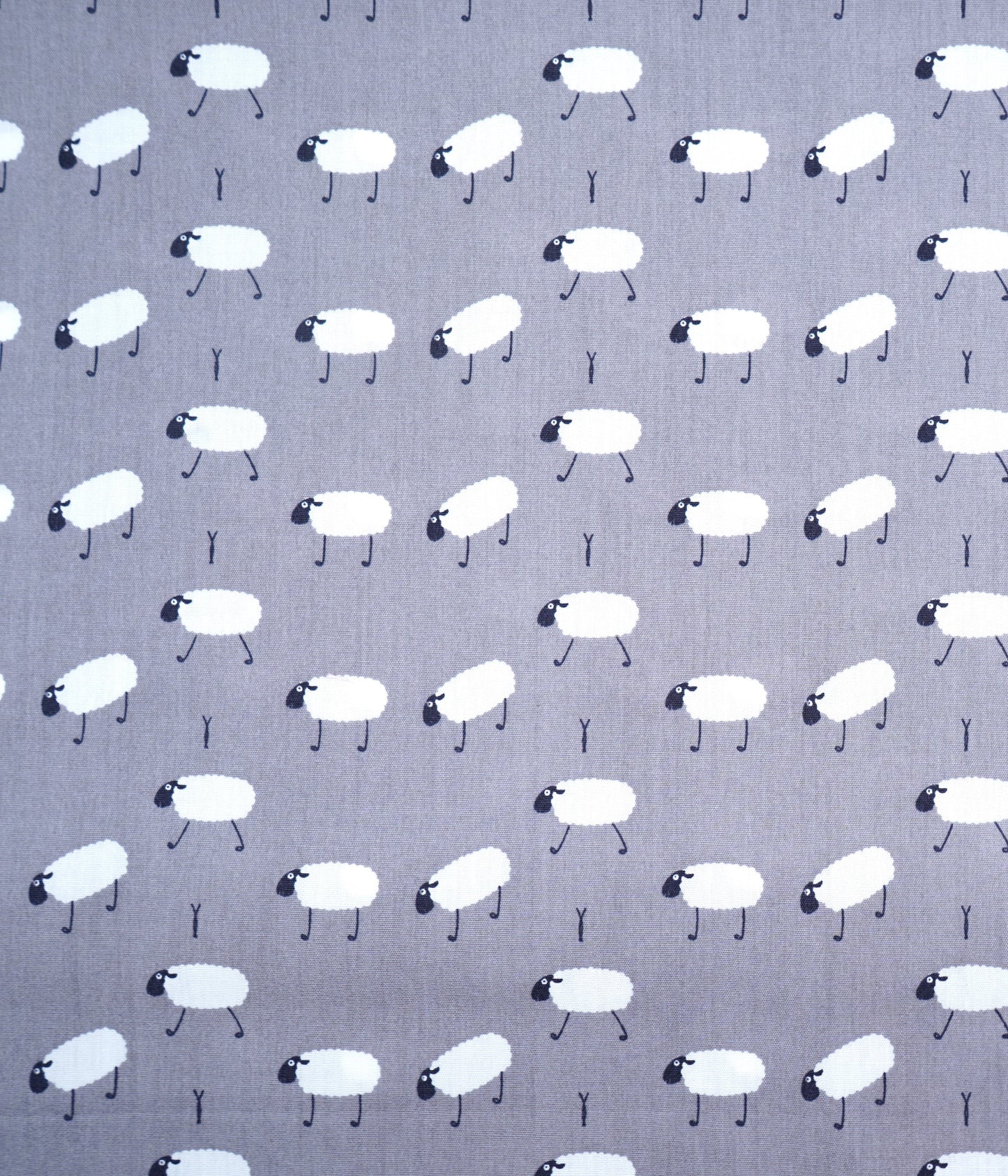 Baumwolle kleine Schafe in 2 versch. Farben