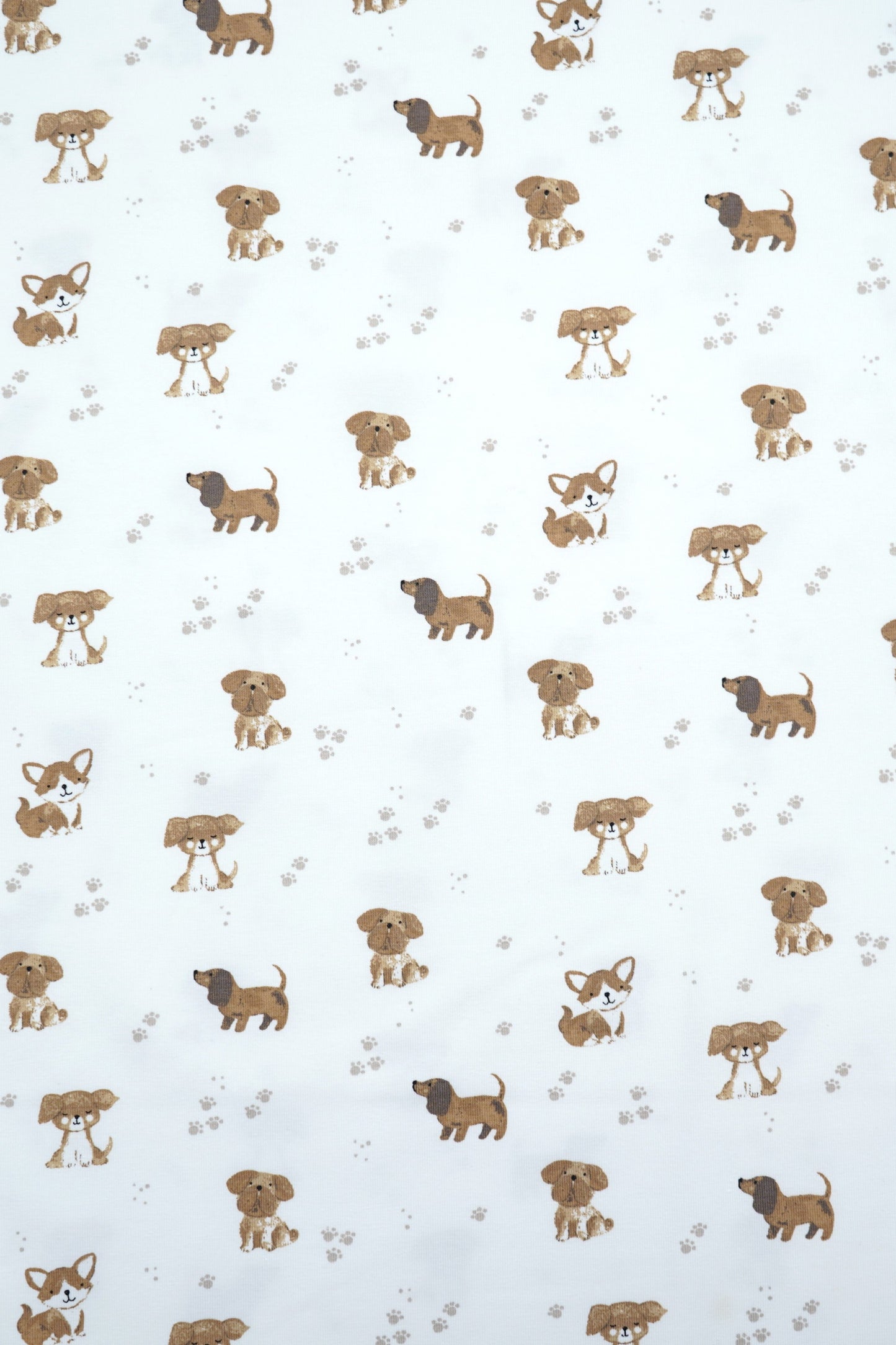 Jersey Hunde