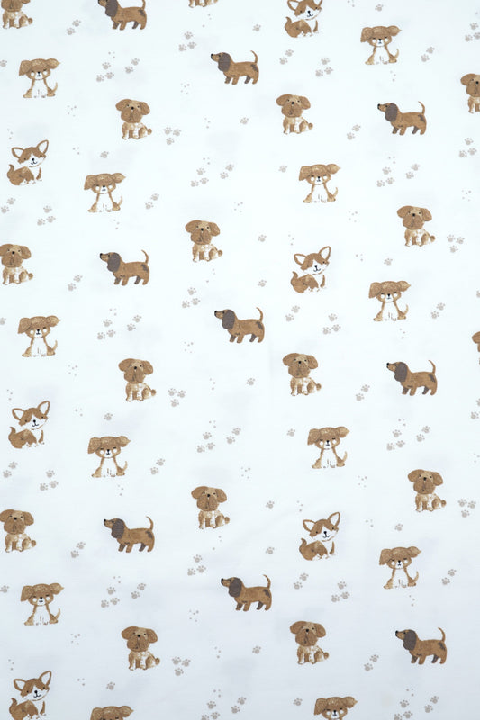 Jersey Hunde