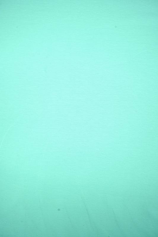 Jersey uni Mintgrün